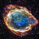 Tardigrades laugh in the face of supernovas. (Image: NASA)